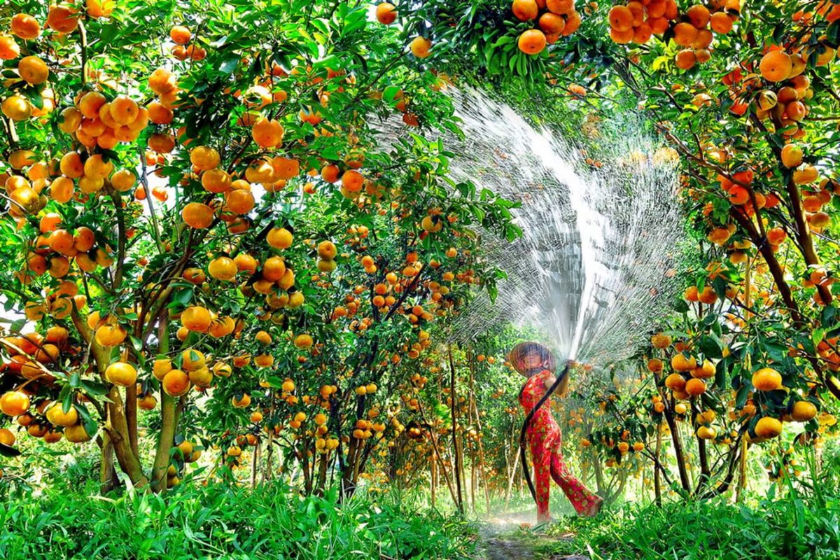 Công ty du lịch Hành Trình Năm Châu