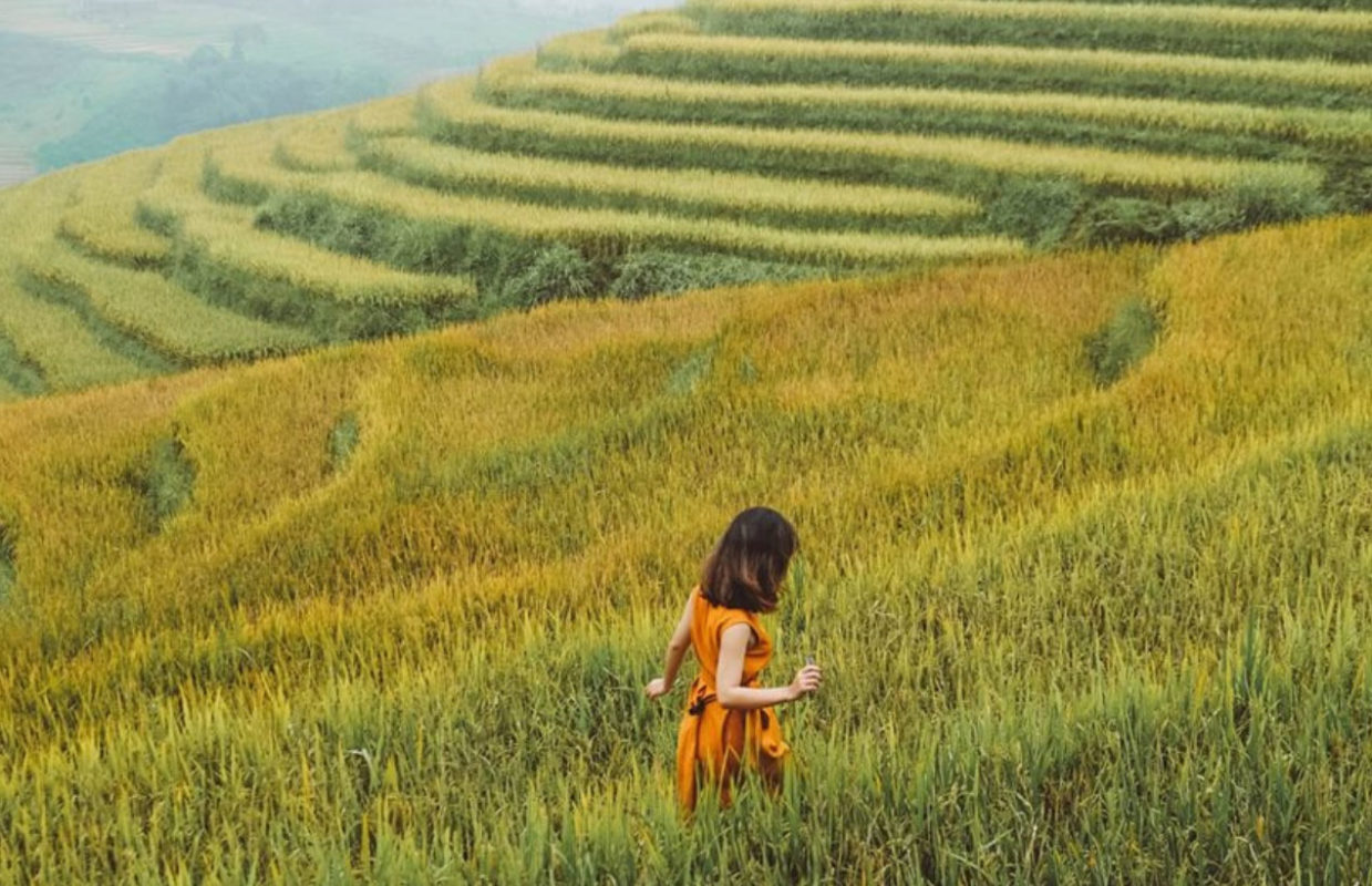 Công ty du lịch Hành Trình Năm Châu