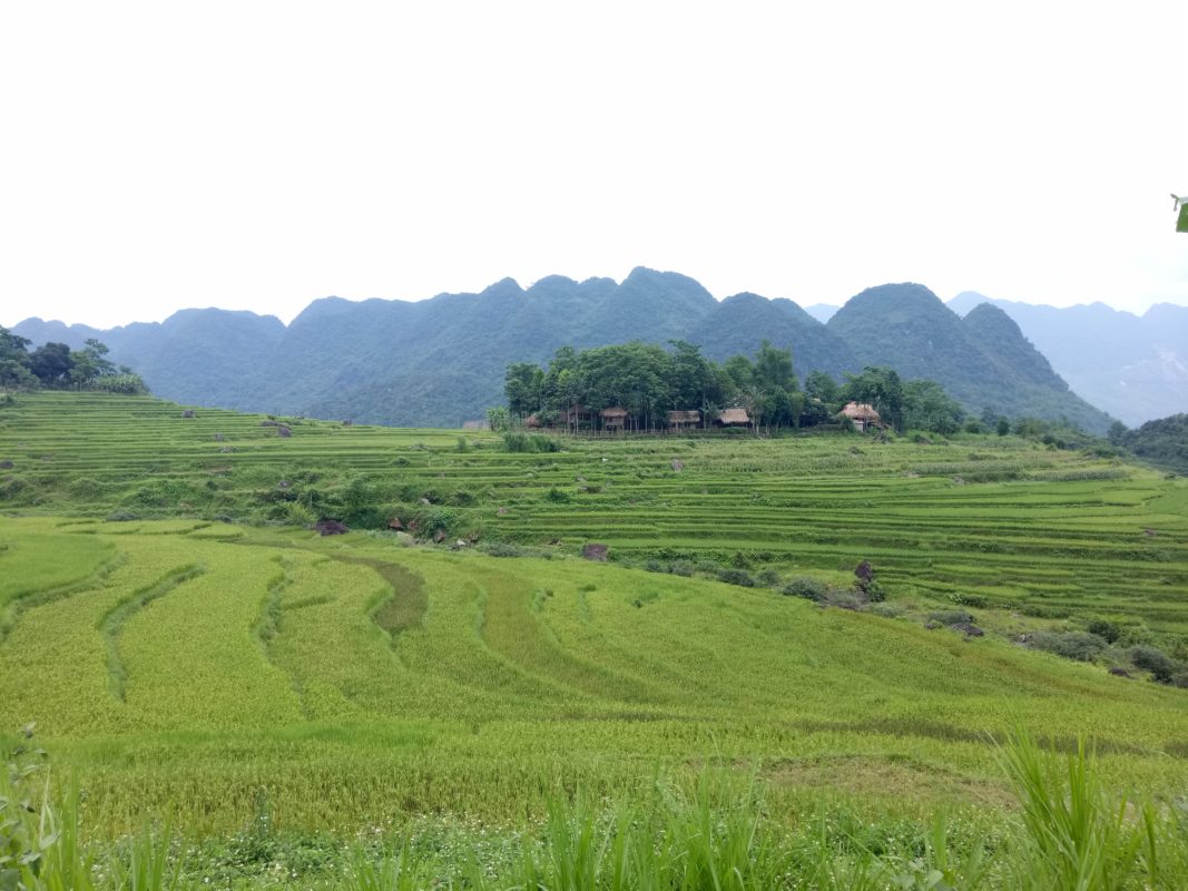 Công ty du lịch Hành Trình Năm Châu